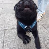 podcast 5 jazz funk by LE MATOU