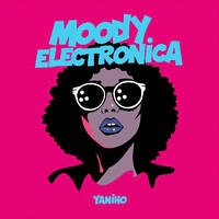 Moody Electronica - Multi-genre progressive sets