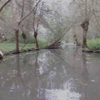 Brumes d'octobre by Gérard Delassus