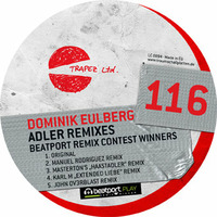 Dominik Eulberg - Adler (Masterton's &quot;Haastadler&quot; Remix) - Trapez Ltd 116 by Masterton