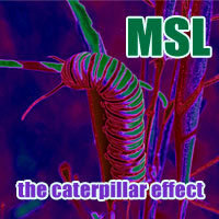 The Caterpillar Effect by The Inconsistent Jukebox