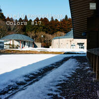 Field Recordings | Colors #17 by PG3A
