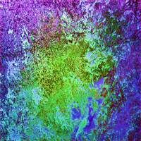 Les sentiers de la mémoire by Gérard Delassus