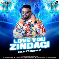 Love You Zindagi (Future Reve Mashup) - DJ Lalit by All Indian DJs Drive