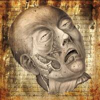 Carpetbaggers by [we sell boxes]