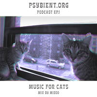 [Psybient.org Podcast 01] Mizoo - Music for cats by Psybient.org