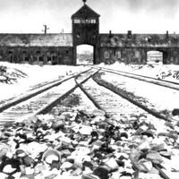 20240128 le convoi des 31000 by RACINES du 93