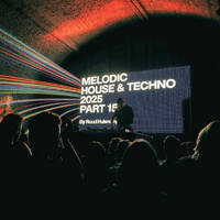 Melodic House and Techno Mix 2025 15 by Ruud Huisman's Beats From Amsterdam