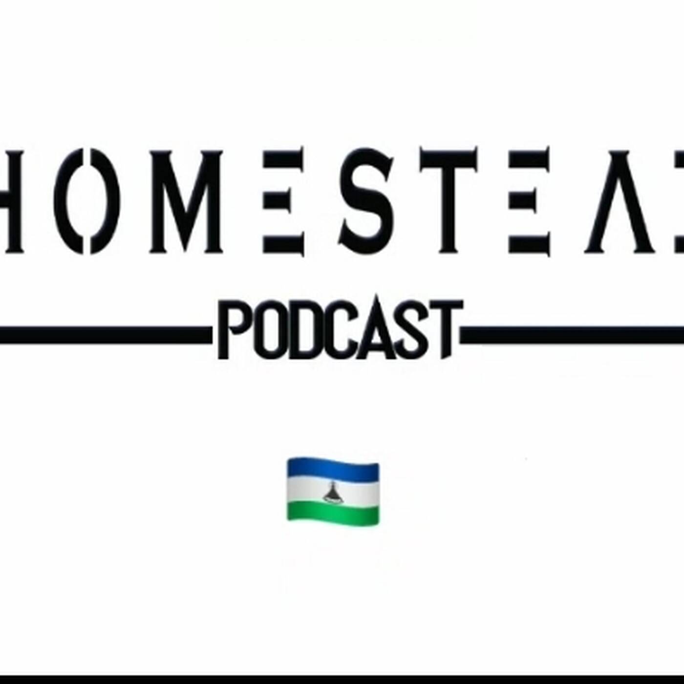 The Homestead Grooves Soulful Edition By; King Wadada VOL 47 [Back To Love] episode artwork