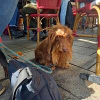 podcast 20 rythme by LE MATOU