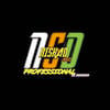 NISHAD AUDIO PROFESSIONAL