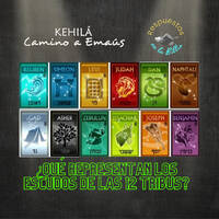 171 ¿Qué representan los escudos de las 12 tribus? by Kehila Camino a Emaus