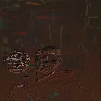 dj ny-snake ♪ ☑️