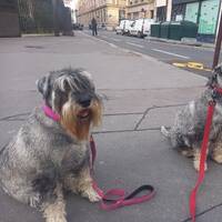 podcast le sacre du plein-temps 1 by LE MATOU