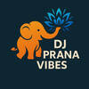 DJ Prana Vibes