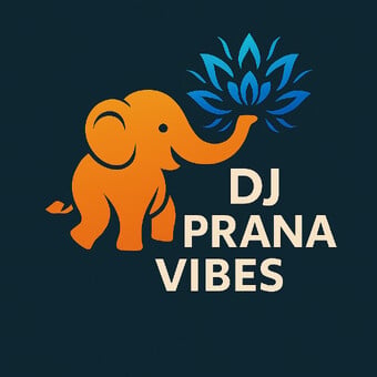 DJ Prana Vibes