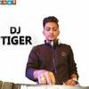 Dj Tiger
