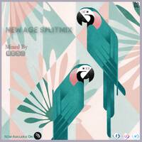New Age SplitMix 02 Mixed By BEST by Best Magagula