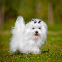 Soulful House Show 2023-04-07 by Dj TuXxL