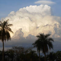 Adios Amigos by Hans Krauß