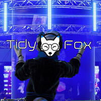 TidyFox Sumer Event 2025 DJ Frost by Francis Frost (DJ Frost)