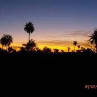 Feliz dia by Hans Krauß