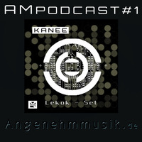 AM Plottcast #1 / Kanee - Lekok live Set by PTSMH / MUSIKPRODUCER & DJ
