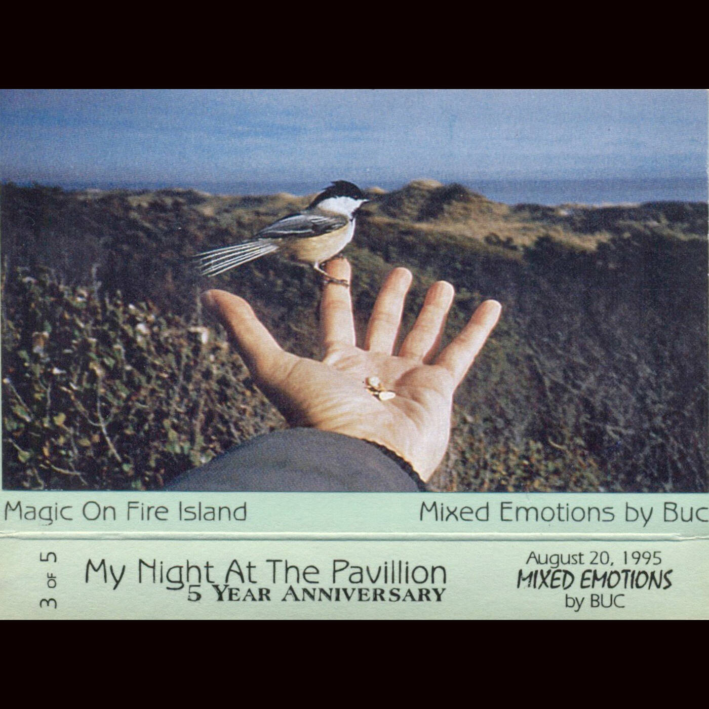 DJ Buc - My Night At The Pavillion - 5 Year Anniversary 9-20-95 - Tape 3 0f 5 (Jim Hopkins Remaster) episode artwork