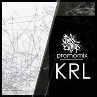 Dubwise BassJump Promo - KRL by Paranoised DnB