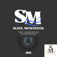 The Mewzeeck Experience 001 by Slice_Mewzeeck