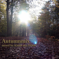  Autumnmix2013  by Knete aka DDaK