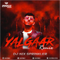 Yalgaar - CarryMinati X Wily Frenzy (Remix) - DJ NIX SPRINKLER by DJ NIX SPRINKLER