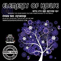 Elements Of House July 19th Recording by CASM