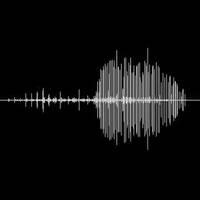 Under water - water bug by Notes on Sound