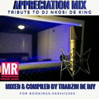 Appreciation Mix[TRIBUTE TO DJ NKOSI DE KING] by Thabzin de djy