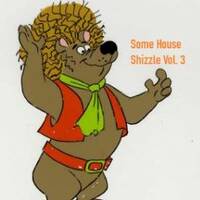 Some House Shizzle! Vol 3 by PompeyStevieSoul