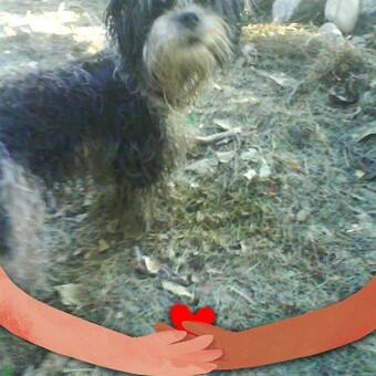 Maria Bendikov&aacute;