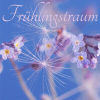 Frühlingstraum - Dhin Magic Corporation by Dhin / Magic Pad Corporation