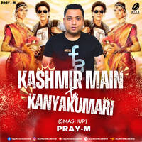 Kashmir Main Tu Kanyakumari (Smashup) - Pray-M by All Indian DJs Drive