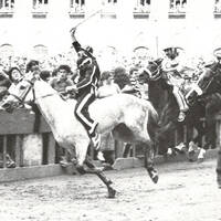 La congiura del Fato by Alessandro Alex Baldi