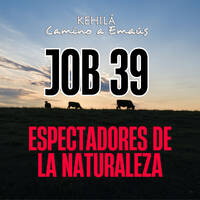 Job 39 | Espectadores de la naturaleza. by Kehila Camino a Emaus