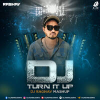 DJ Turn It Up (Mashup 2025) - DJ Raghav by All Indian DJs Drive
