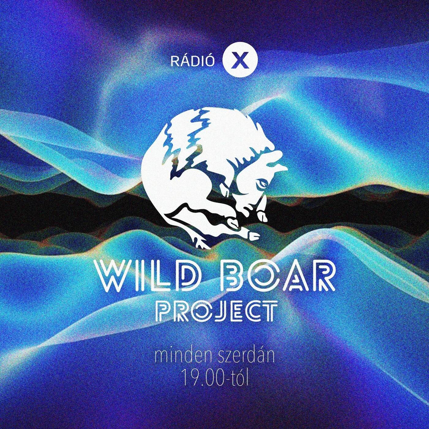 WILD BOAR RADIO SHOW - TOM KLEINE - 2025.07.16