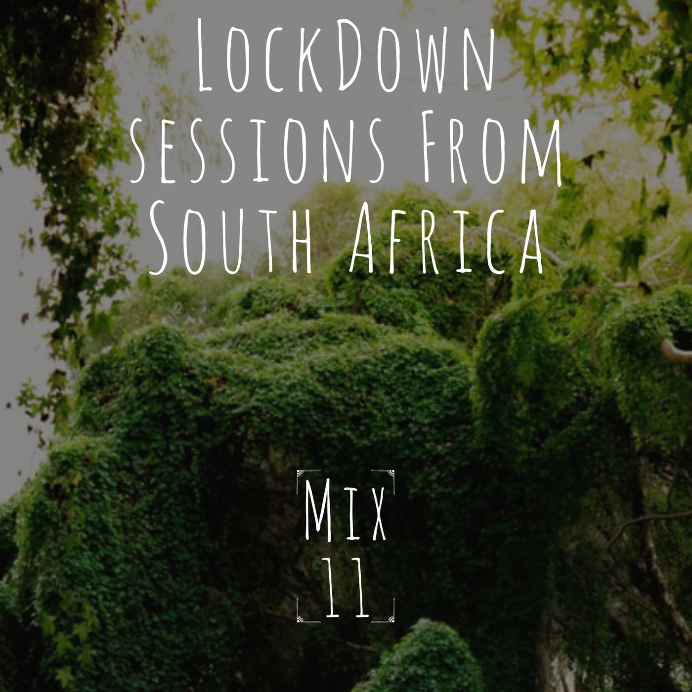 Lockdown Sessions From South Africa Mix Eleven (11) episode artwork