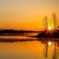 copernicus - cyberia deep by copernicus