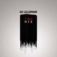 Dj Lilleman - Mixtape June 2013 by Matte Jansson