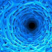 In The Rabbit Hole Session # 118 Mastered by Francisco Ramírez