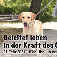 Vom Heiligen Geist geleitet leben (6) [#0797] @Kraftwerk_MaxFichtner by Frank Vornheder