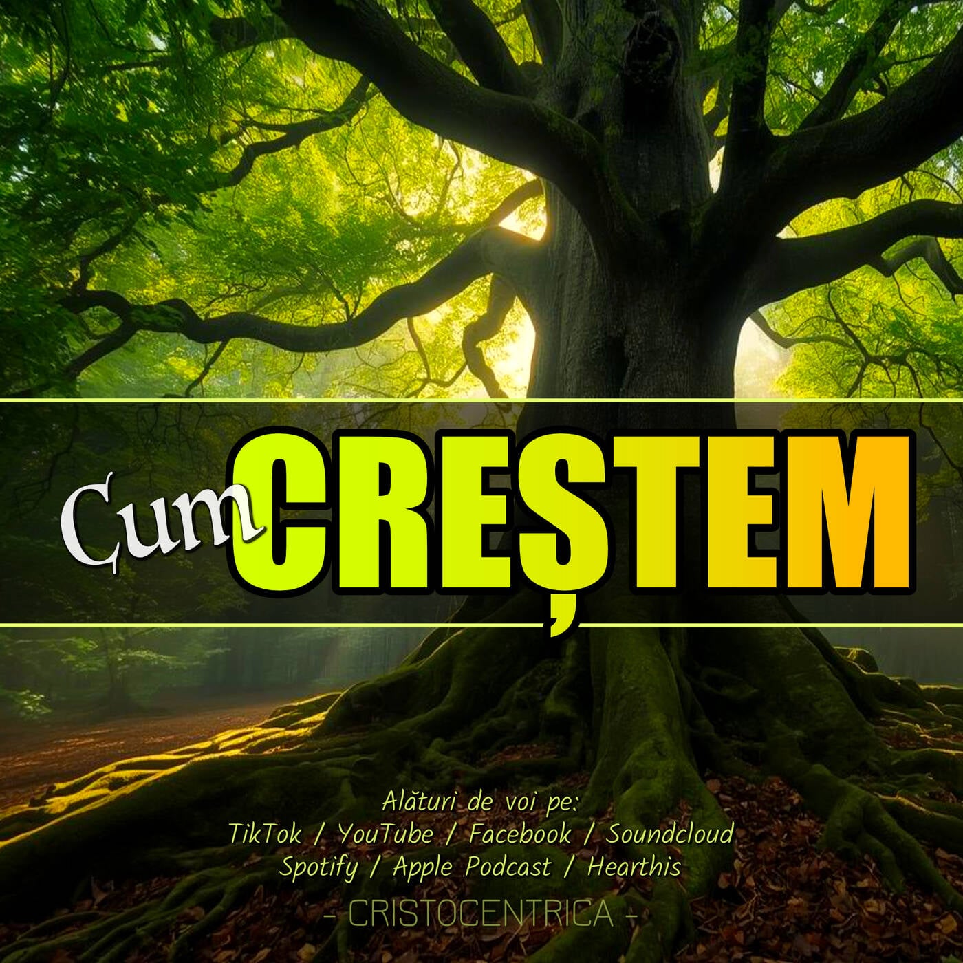 Cum creștem episode artwork