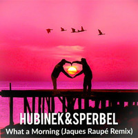 Hubinek &amp; Sperbel - What A Morning (Jaques Raupé Remix) by Jaques Raupé